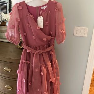 Small pink Ivy City Co dress